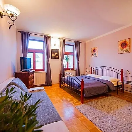 Mini-hôtel U Papousku 3*