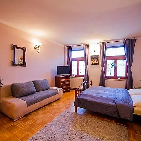 Mini-hôtel U Papousku 3*